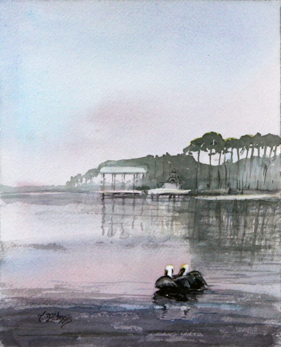 Cessna Landing by Theresia McInnis 