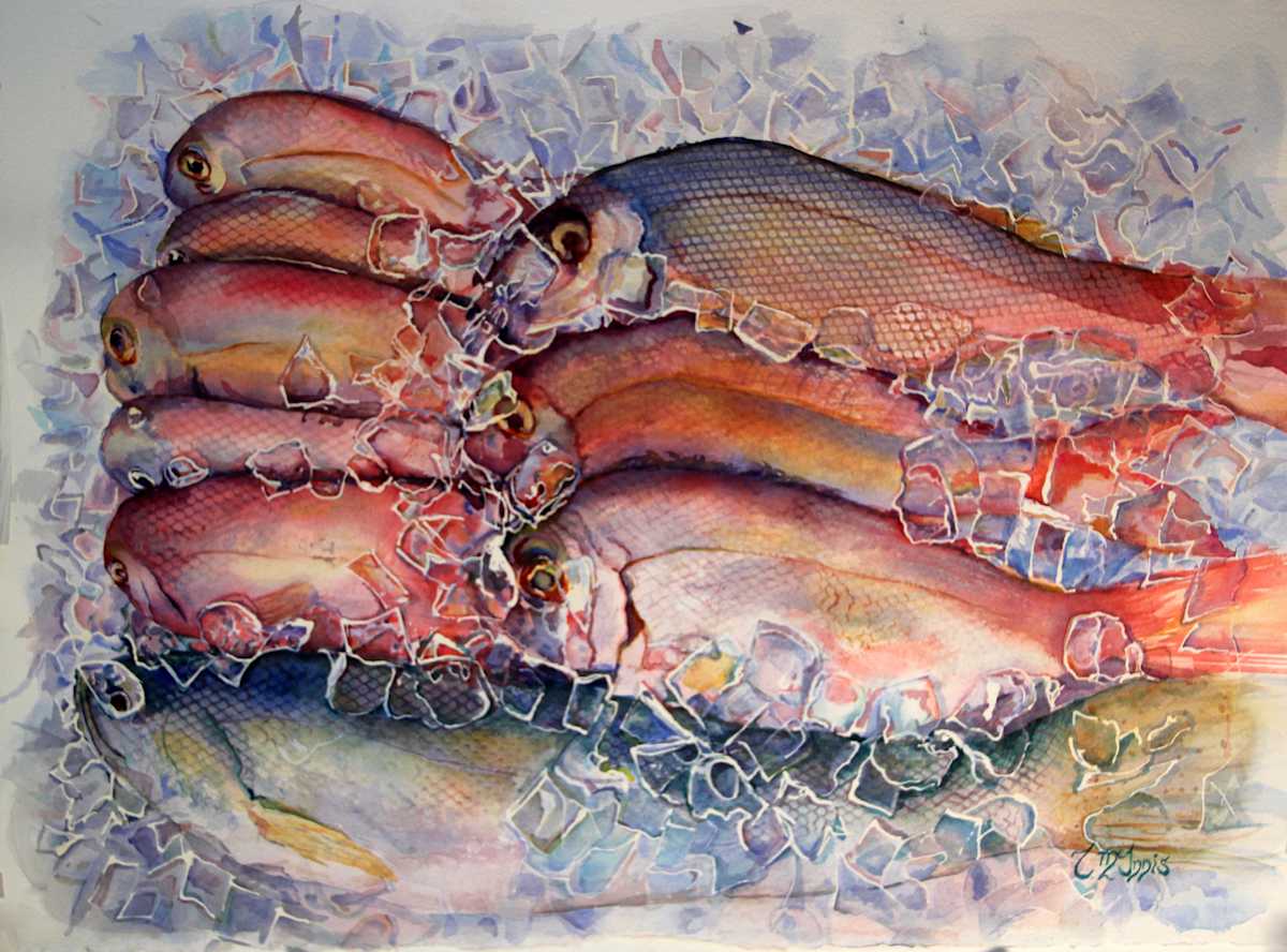 Cool Fish, Image 1.