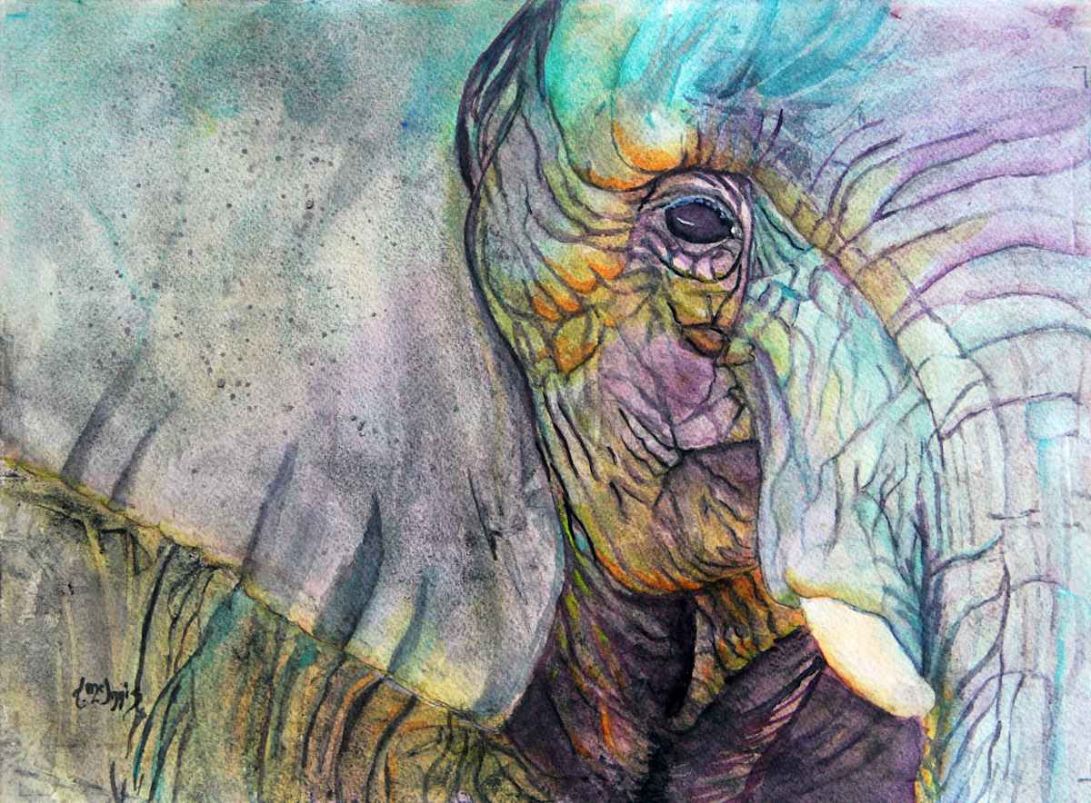 Elephant Eye View by Theresia McInnis, Image 1.