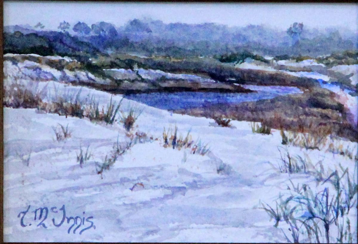 Foggy Morris Lake  Image: The fog was rolling in as I painted at the Dune Lake.