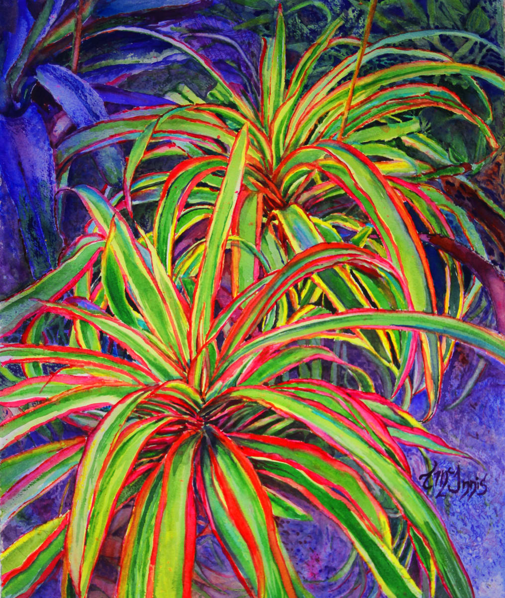 Funfetti  Image: Stripes of red and golden green bromeliad.