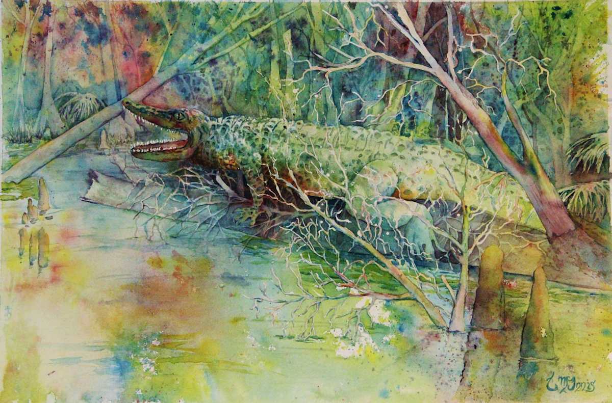Gator study, Image 1.
