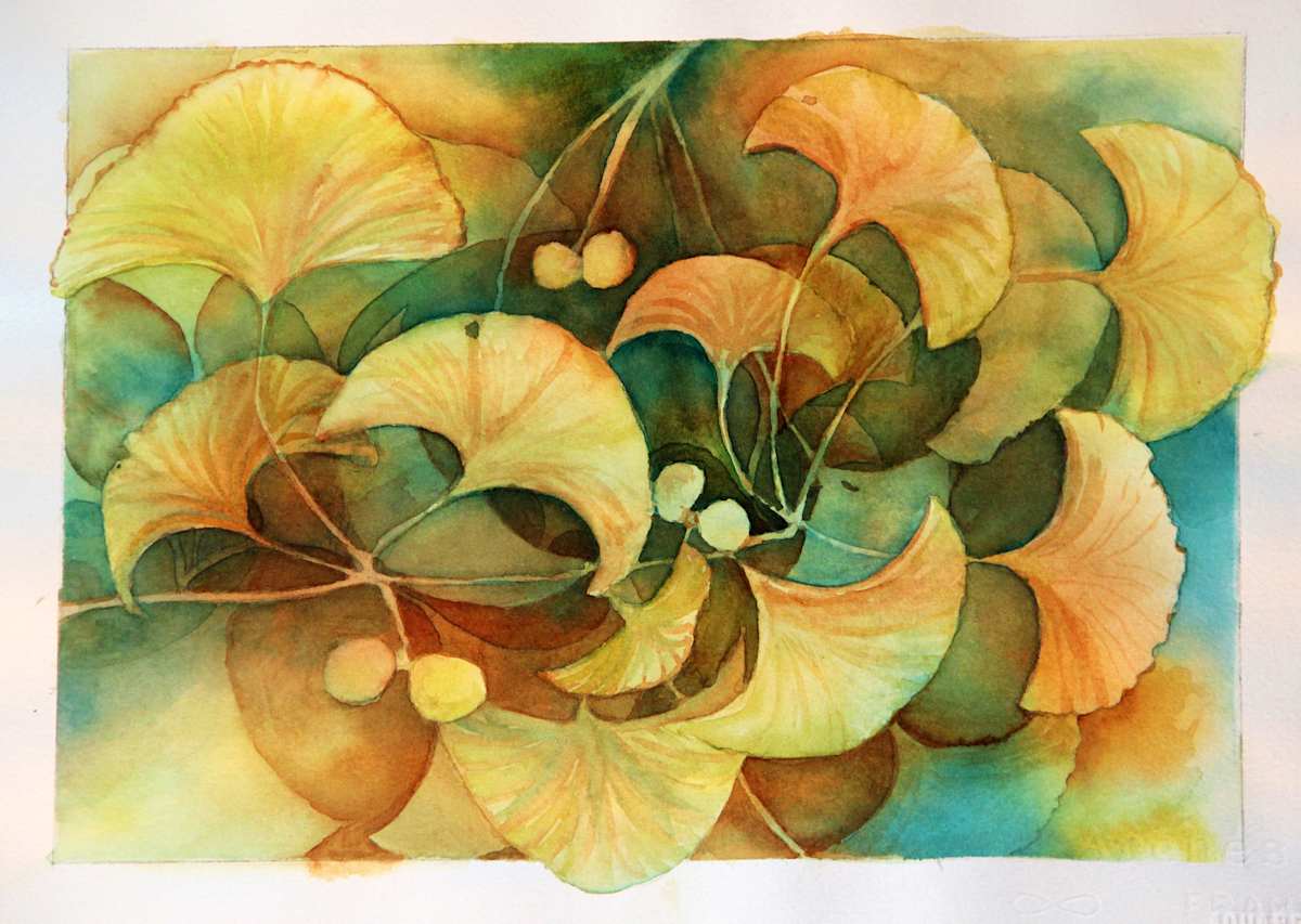 Ginko study by Theresia McInnis, Image 1.