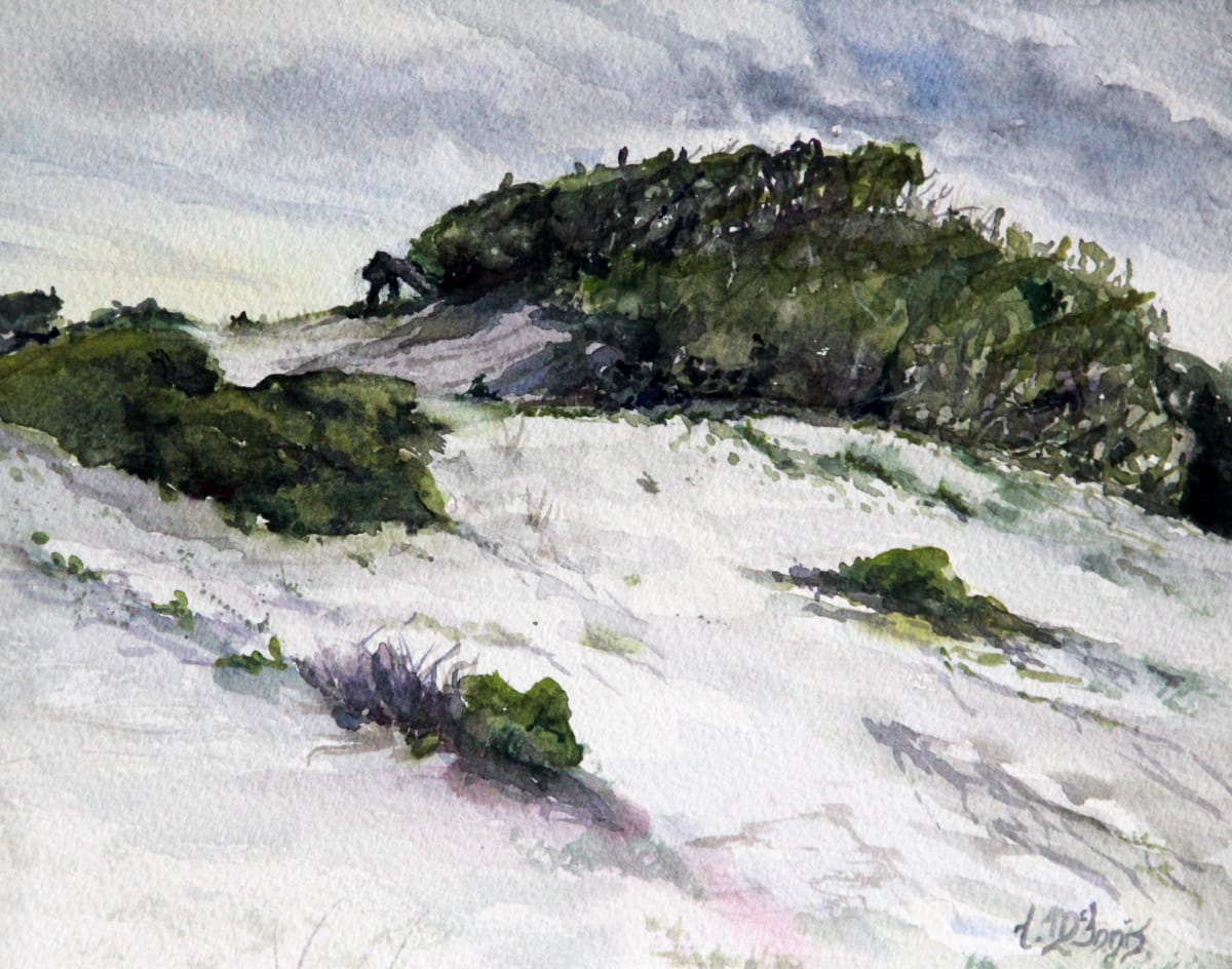 Grayton Dune Uprising by Theresia McInnis  Image: These towering dunes protect the locals from onshore waves and offer protection for many beach inhabitants. The wind drives these trees to bow down and form bonsai-shaped sculptures.
