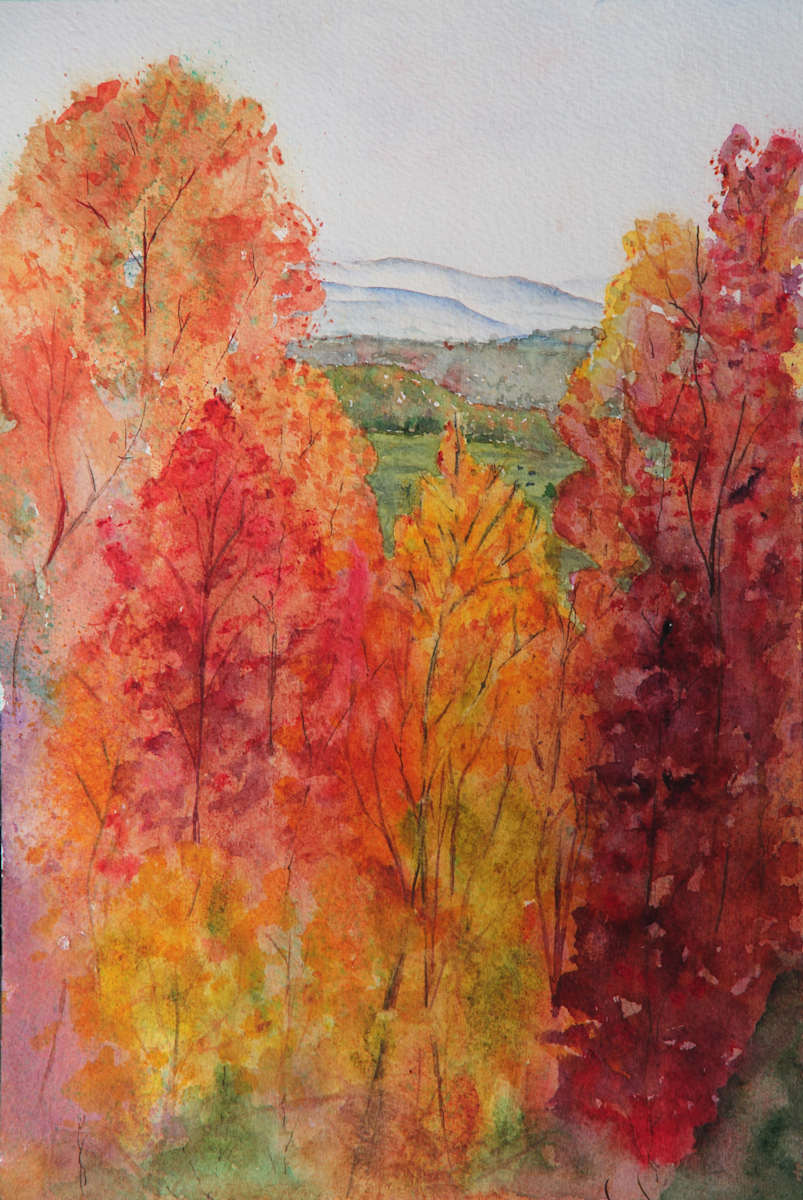 Hiawassee Fall View, Image 1.