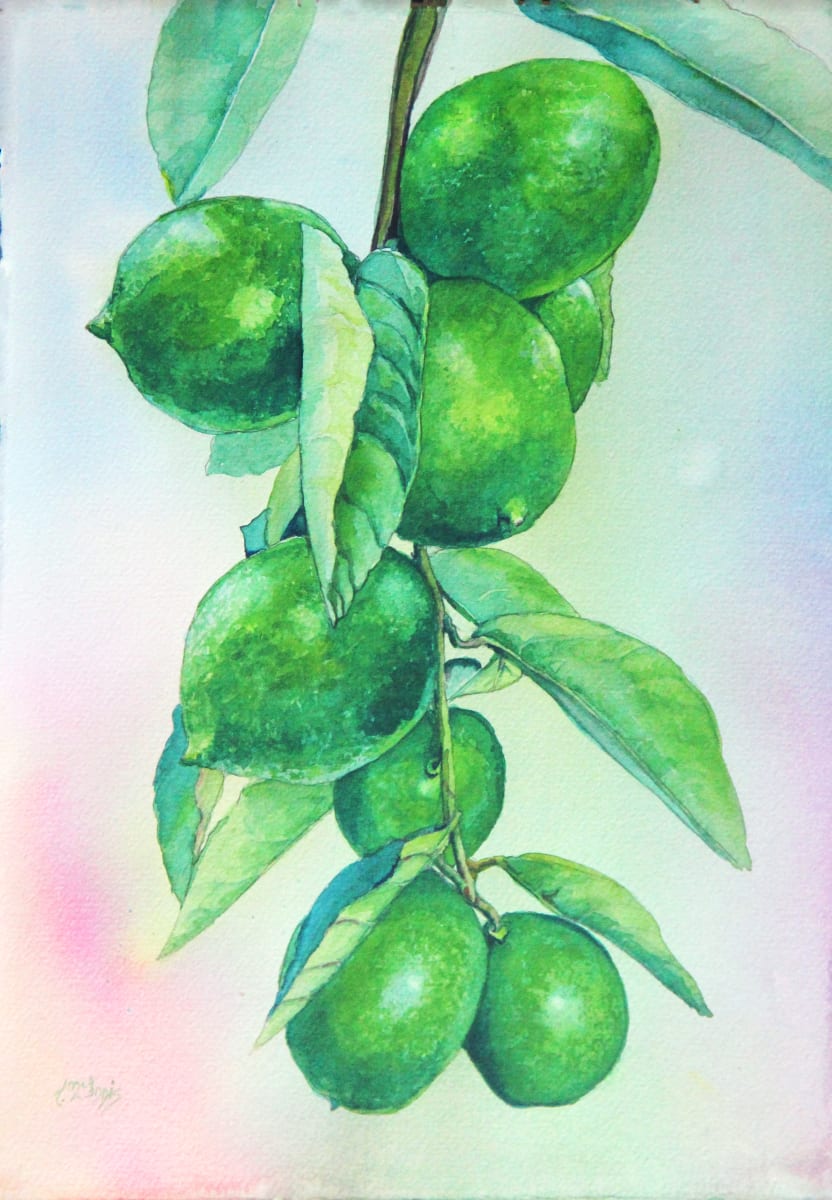 Lime Boughs by Theresia McInnis  Image: The limes were so abundant that the bough drooped heavily.