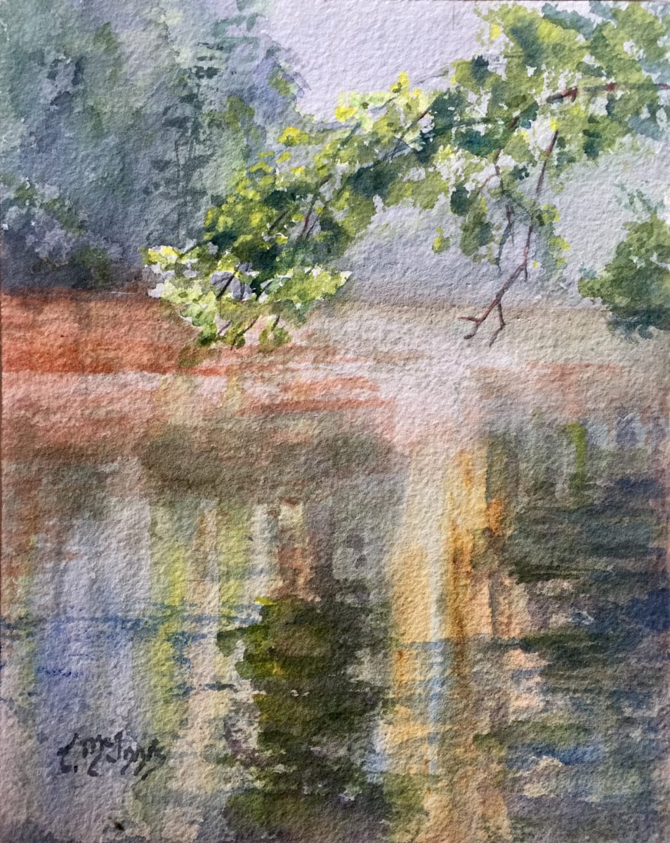 Tacoa Valley Mist by Theresia McInnis, Image 1.
