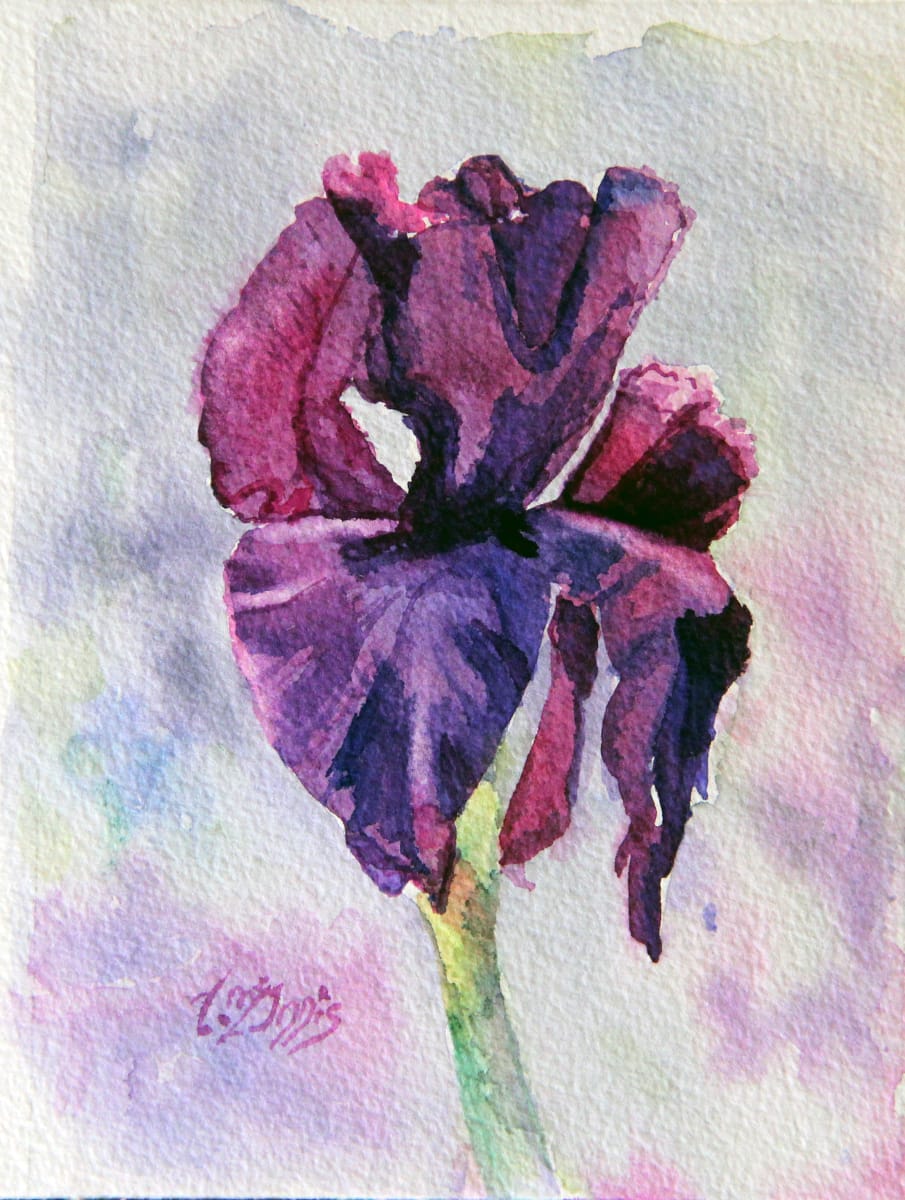 Iris two by Theresia McInnis  Image: This lone Iris trembled in the wind as its delicate petals danced.
