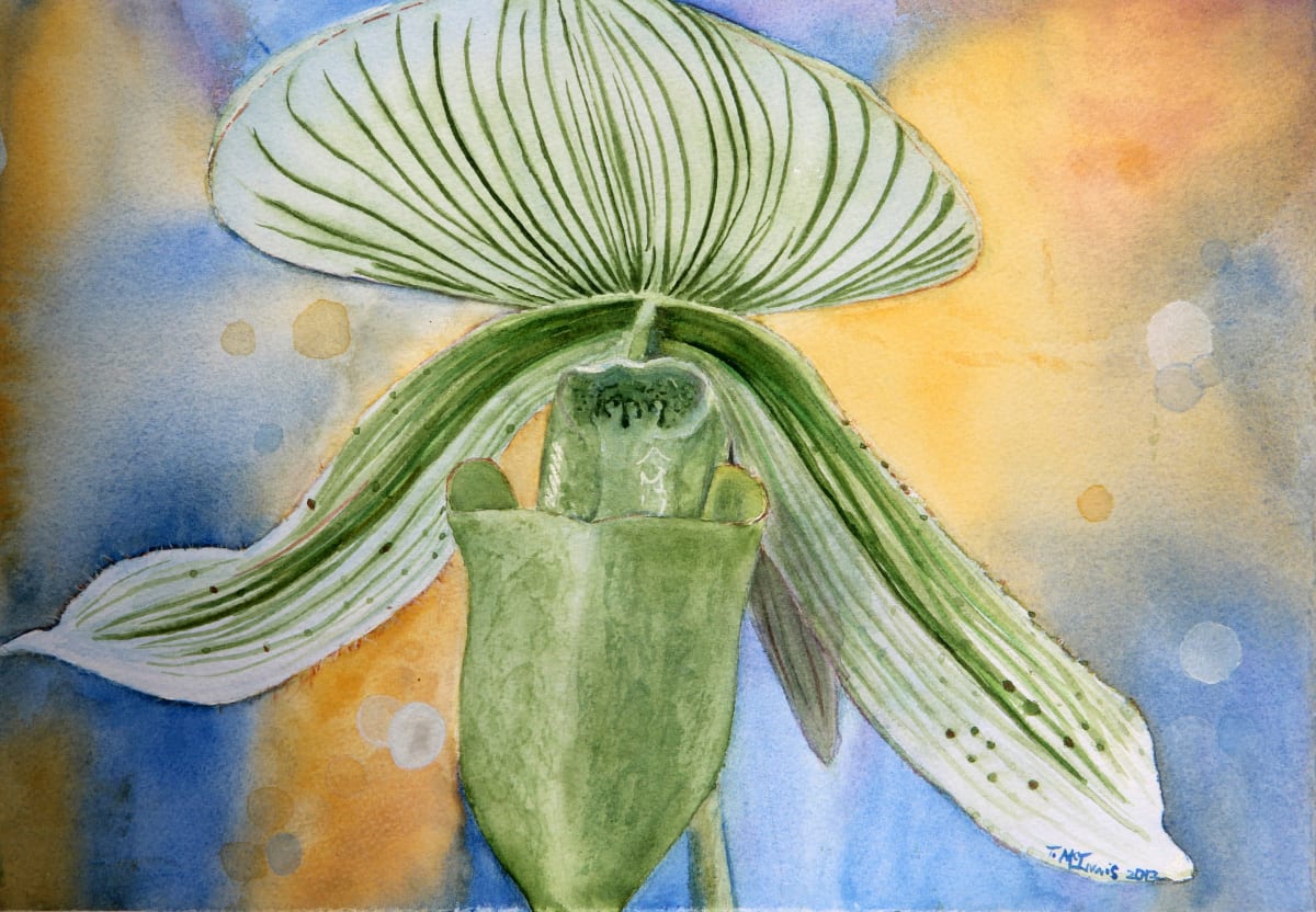 Lunar Orchid  Image: This rare Green Orchid is a show stopper.