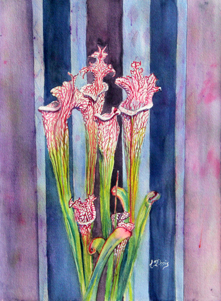 Pitcher Plant en stripes by Theresia McInnis 