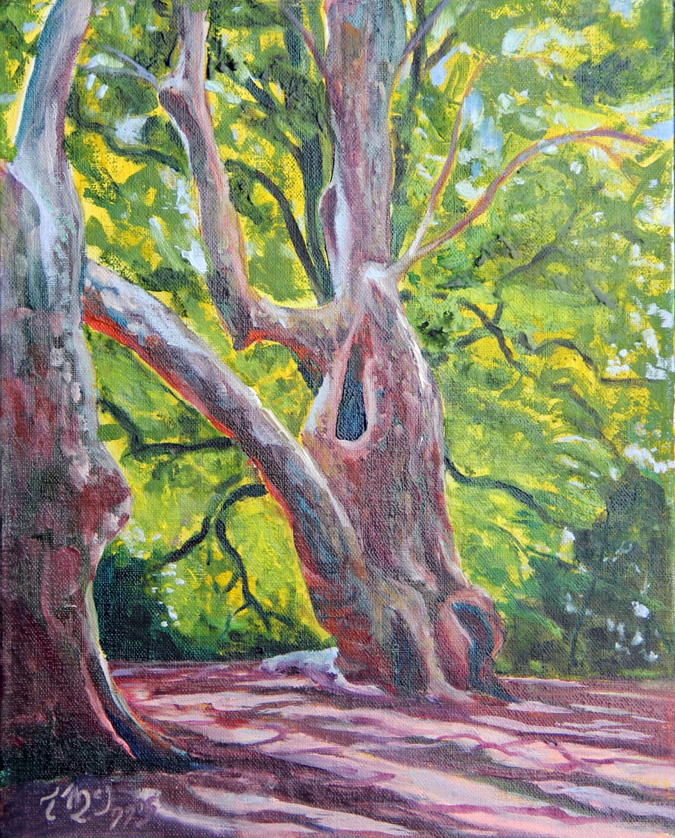 The Plane Trees by Theresia McInnis  Image: 8x10" Oil Plane Trees on the banks of La Sorgue in Vaucluse.