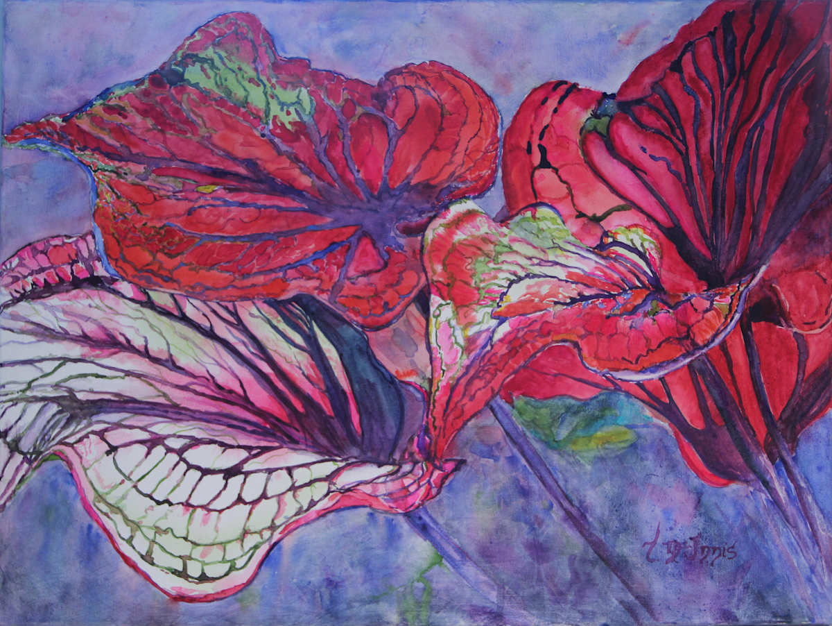 Red Caladiums, Image 1.