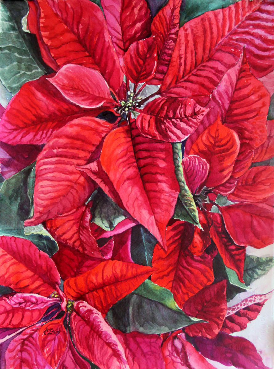 Red Poinsettia by Theresia McInnis  Image: Red Poinsettia 11x14 plus framing and matting 20x24