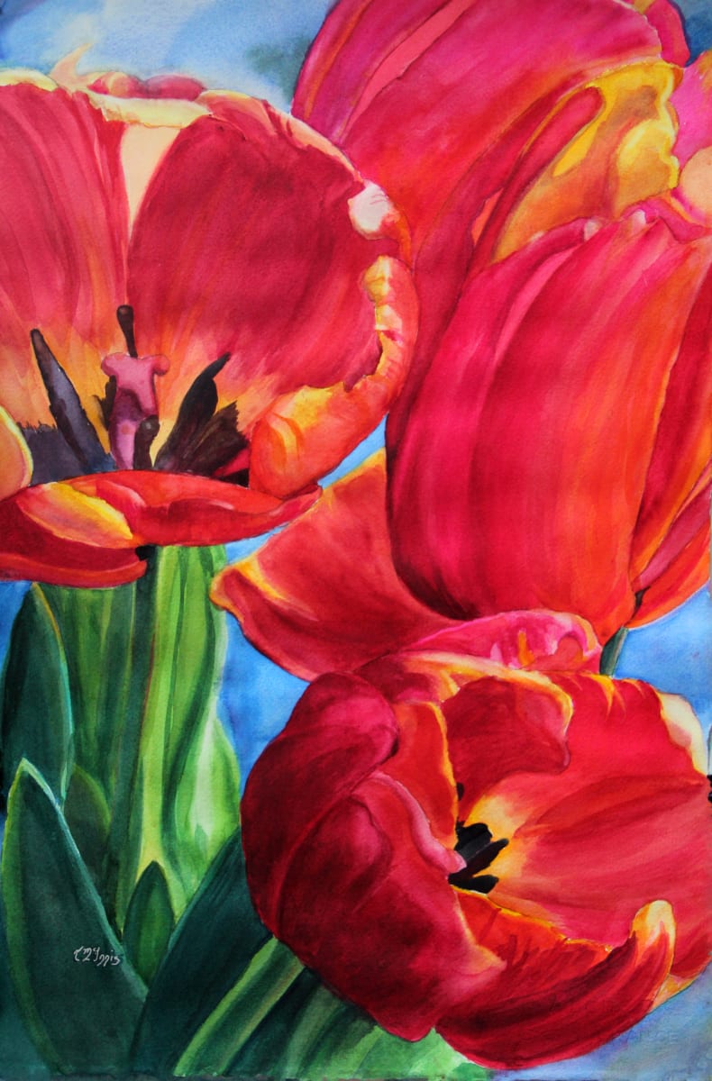 Red Tulips by Theresia McInnis  Image: Backlight Red Tulips seem to glow from within.