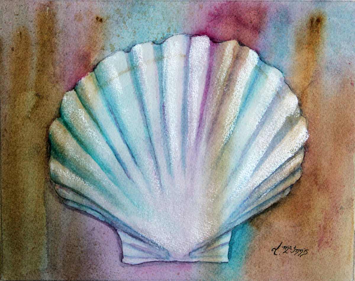 Scallop Shell in Pastel, Image 2.