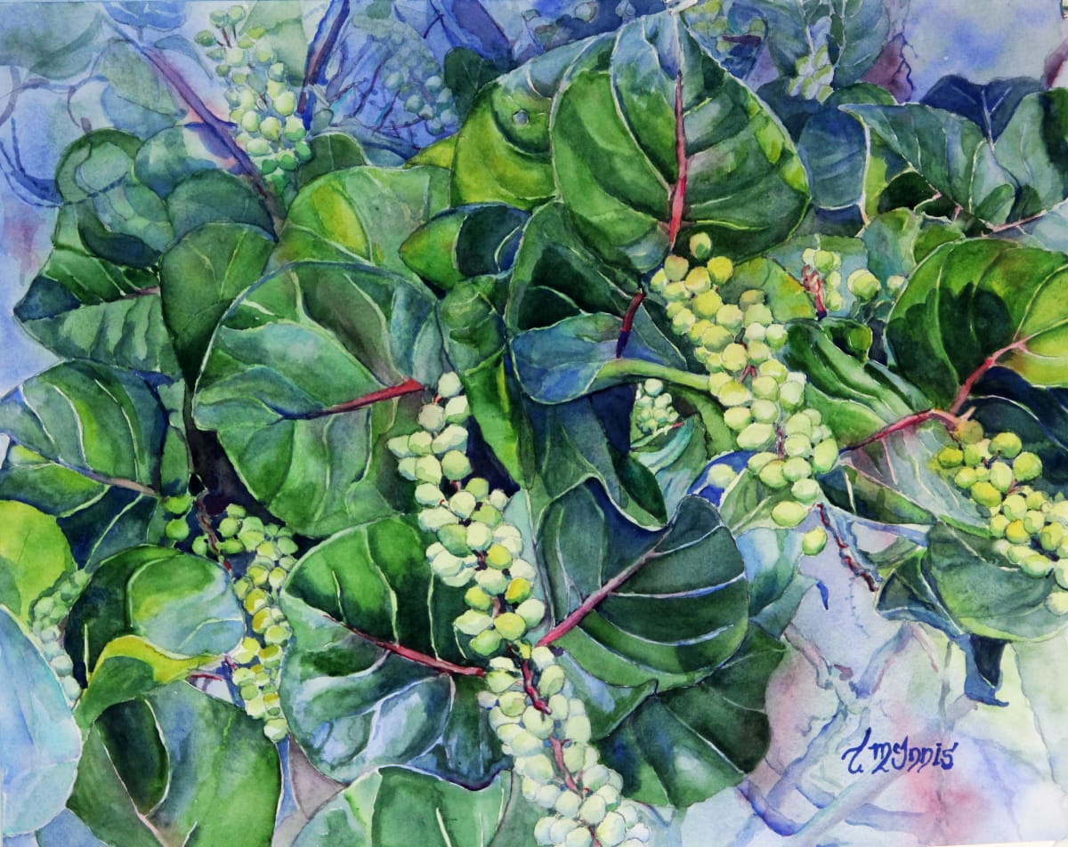 Sea Grapes 