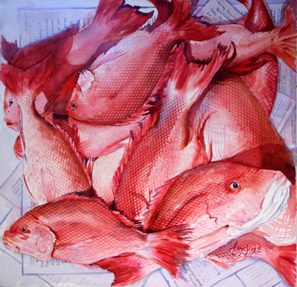Snappers in News mounted print by Theresia McInnis 
