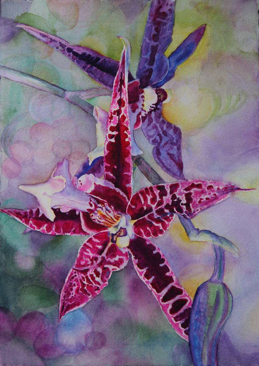 Spider Spider by Theresia McInnis, Image 1.