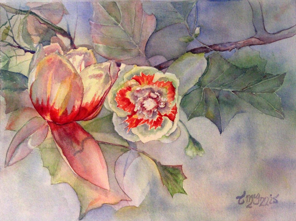 Tulip Poplar  Image: Spring flowers on a tree.