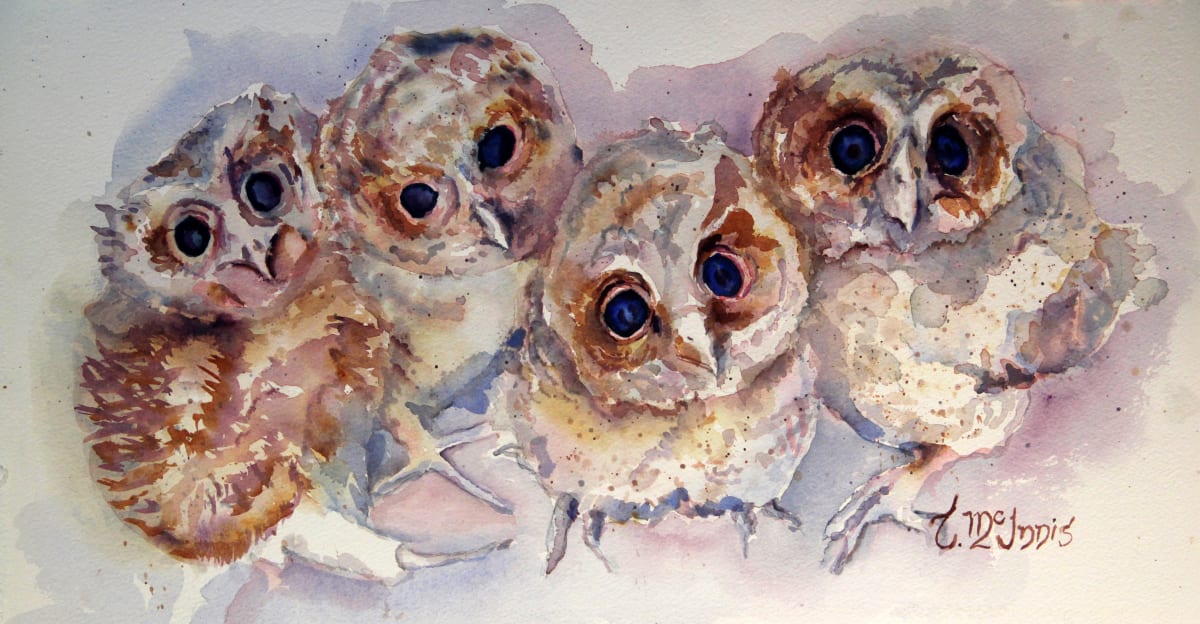 Owlette Quartette print (2) by Theresia McInnis 