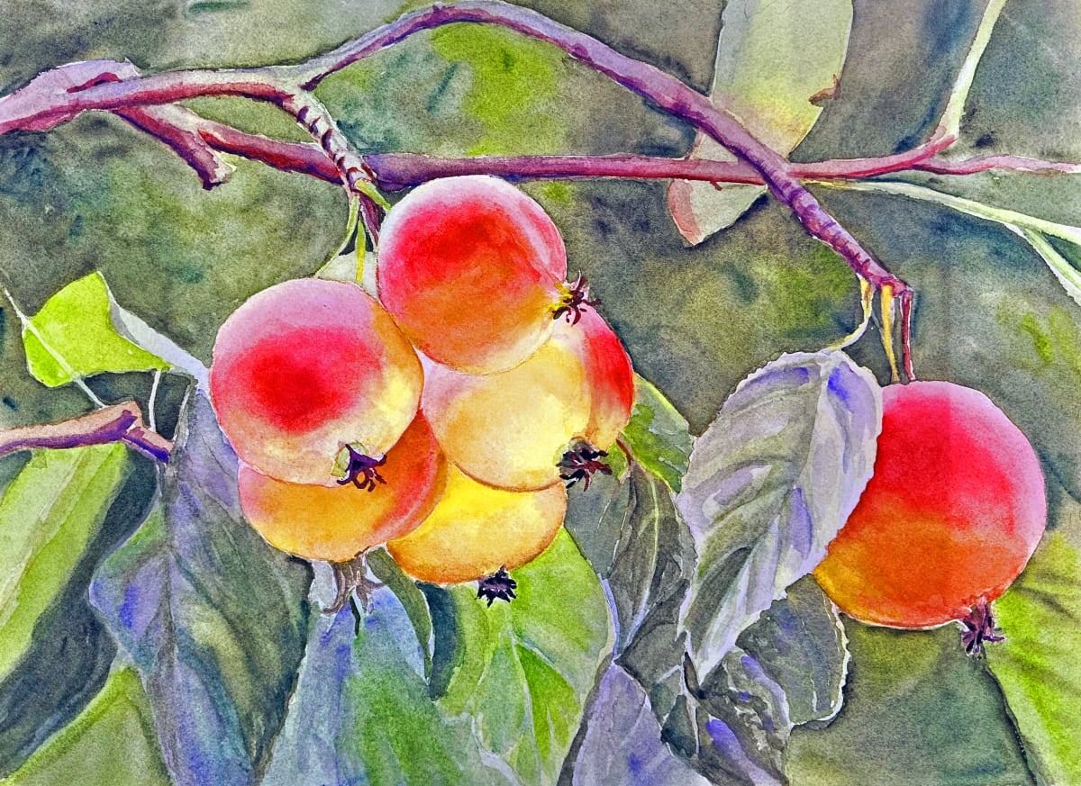 Crabapple Glow by Theresia McInnis  Image: I'm very pleased the way that "Crabapple Glow" really seems to glow from within these fruits that are backlight by the sunshine. Happy gold and peach colors seem to dance on the branch as the breeze blows.