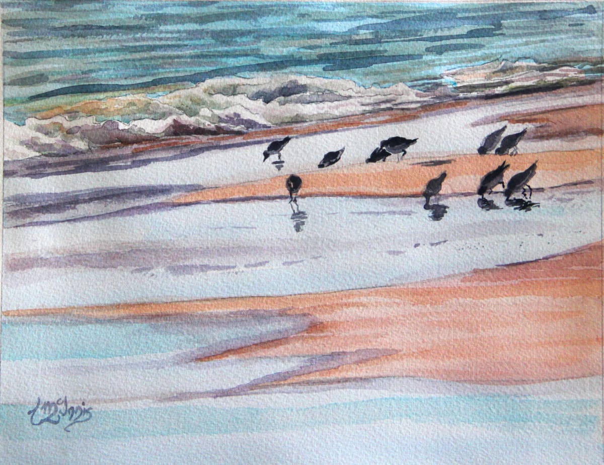 Beach Pipers in the Surf  Image: Beach sandpipers chasing the goodie’s as the surf recedes. 