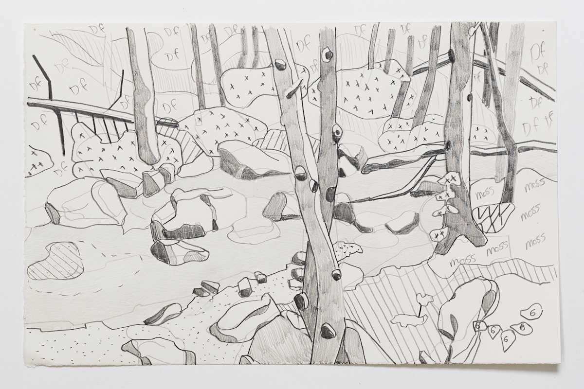 Cascade 23 by Eric Reinemann  Image: Element 1, 9x14, graphite on paper