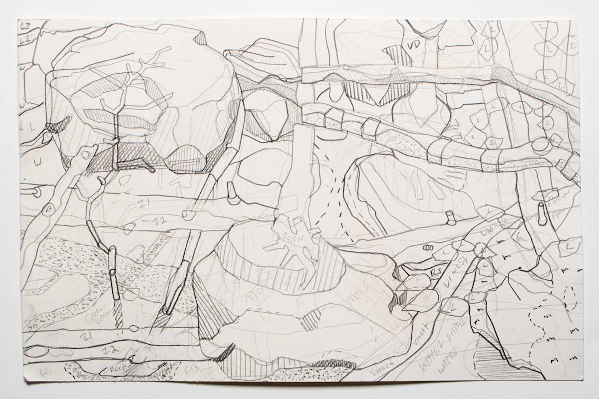 Fern by Eric Reinemann 