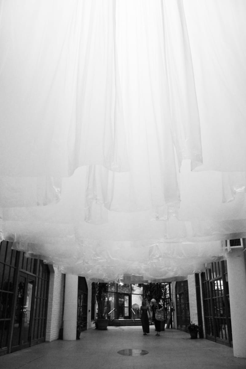 Engaging Space/Liriodendron Installation 2014-2016 by Mark Gerard McKee 