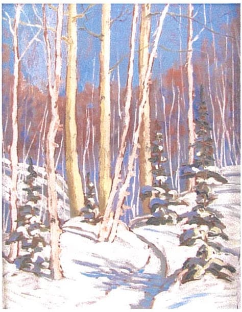 Sunlit Birches by Muriel Newton-White 
