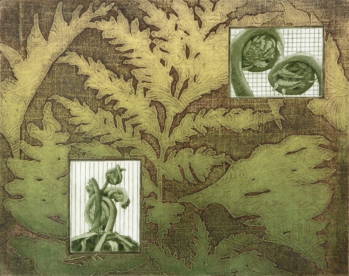Ferns and Fiddleheads by Janet Bourgeau  Image: Done in the early 80’s, this work was made soon after moving north from Windsor. I had studied printmaking at university and I was anxious to try out my skills of etching combined with collagraph. I was thrilled to move to a region of lakes and forests and was eager to capture the forest floor, hence the idea of fiddleheads that turn into lovely ferns.
