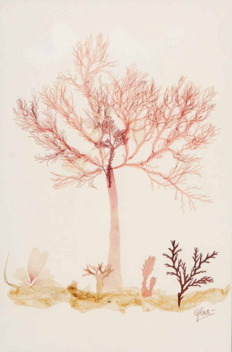 Arbre by Gertrude Cote-Malenfant, Image 15.