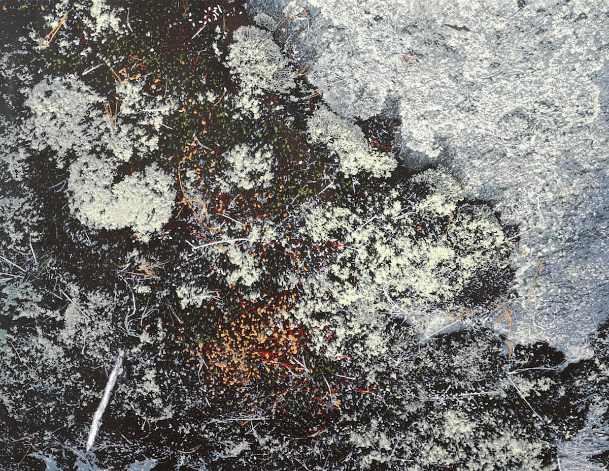 White Sticks by Judy Gouin, Image 3.