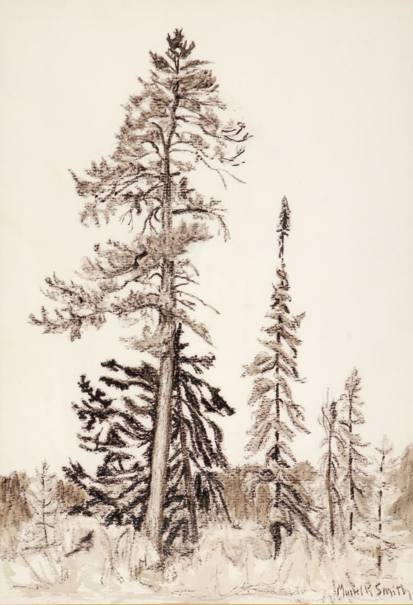 Trees by Muriel Smith, Image 22.