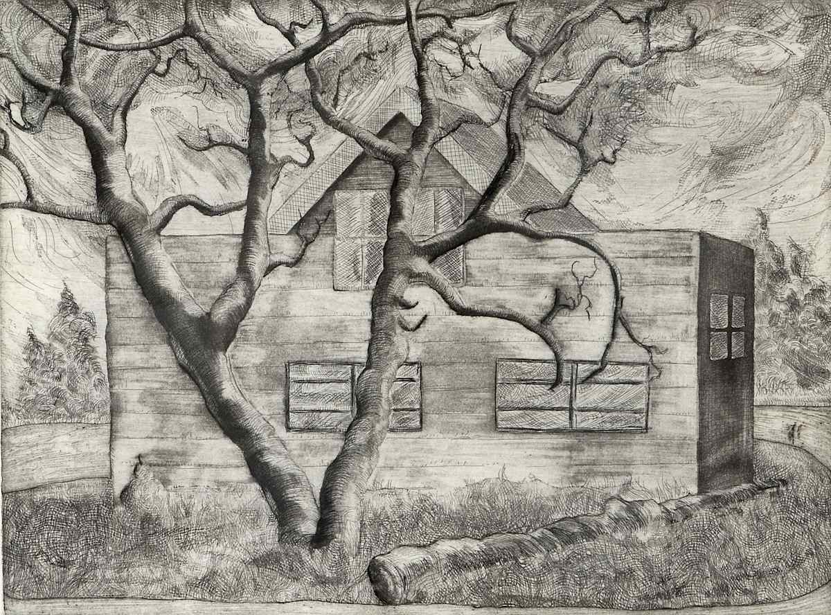 Studio: Ray's Farm by Bruce Cull, Image 35.
