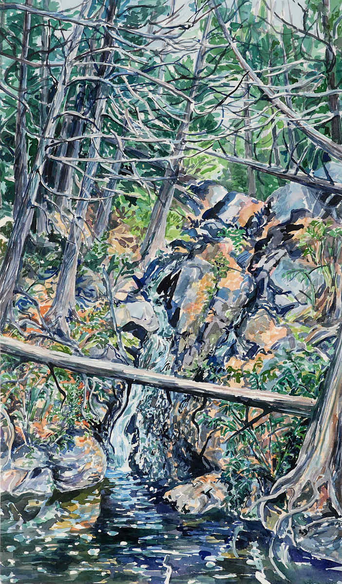 Waterfall Near Lost Lake by Valerie Hosteler, Image 54.