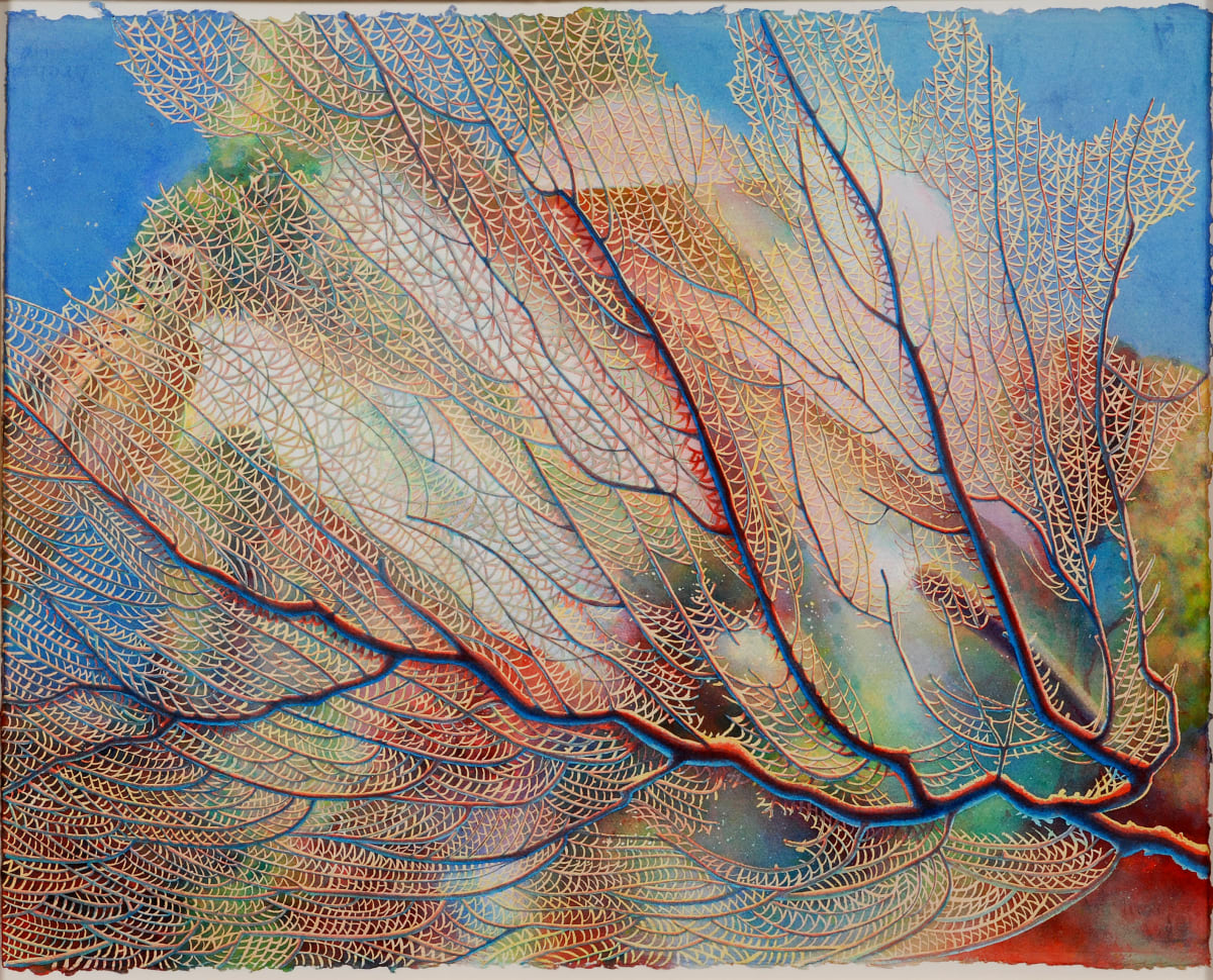 Sea Fan Skeleton by Kathy Holland 