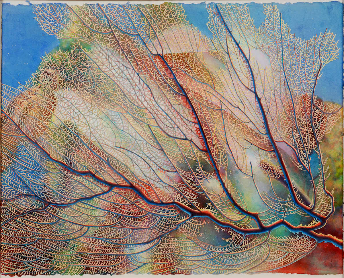 Sea Fan Skeleton by Kathy Holland, Image 82.