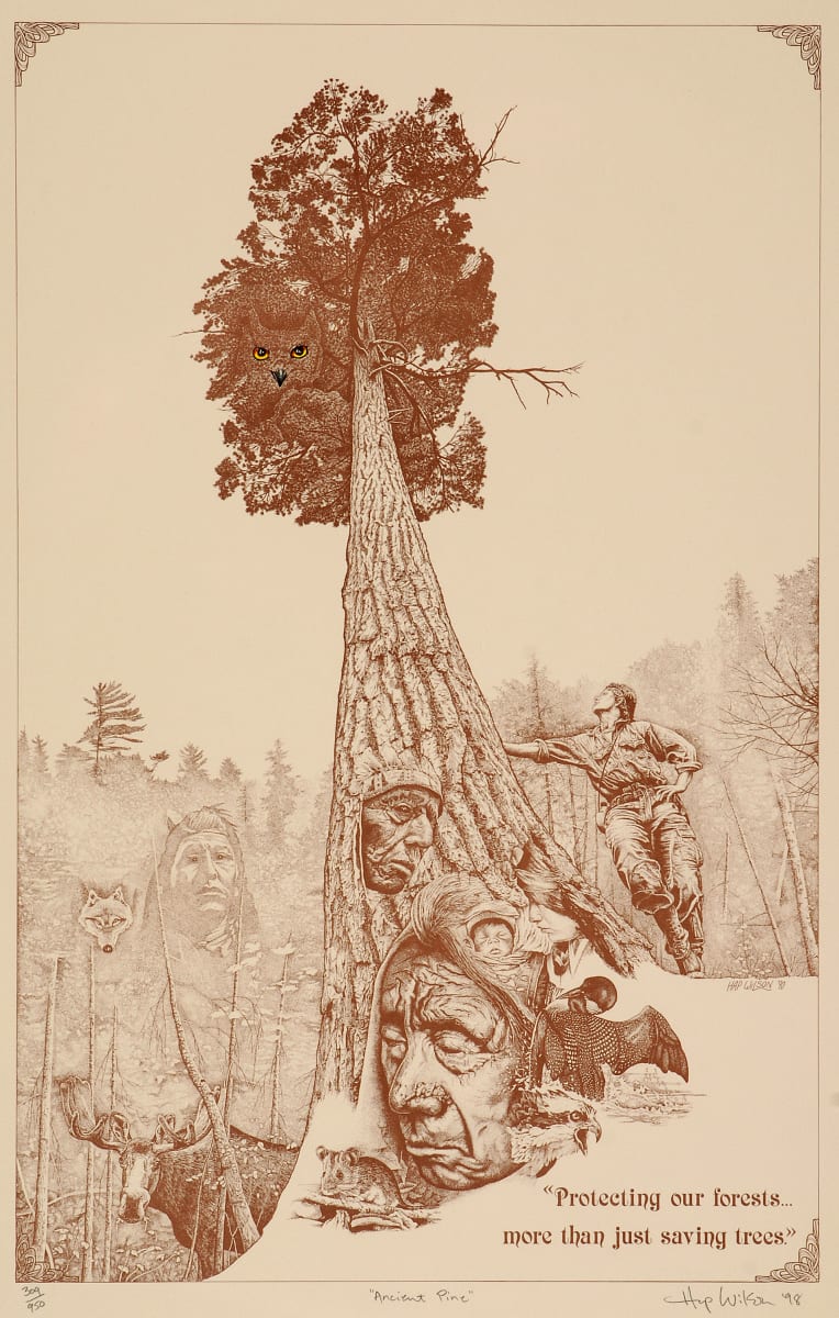Ancient Pine by Hap Wilson  Image: This was originally printed in 1991 for the Temagami Wilderness Society (now Earthroots) as a fundraiser. It depicts the value of the white pine in Canadian cultural history; and a self-portrait as activist.