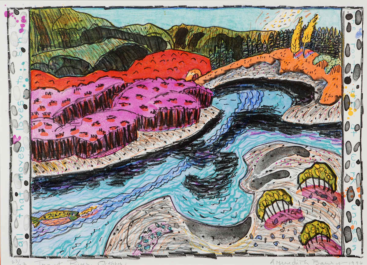 Trout River October by Anne Meredith Barry, Image 78.