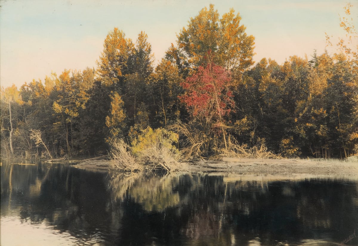Untitled (Trees in fall along a river bank) by Alexander MacLean  Image: Coloured by F. Jacquet