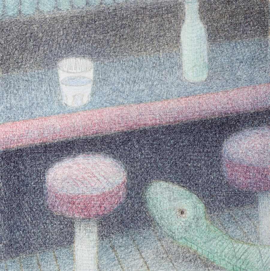 Snake and Waterglass 11 by Doug Donley, Image 175.