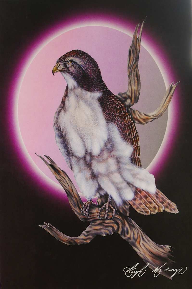 Redtail Hawk by Hugh McKenzie, Image 8.