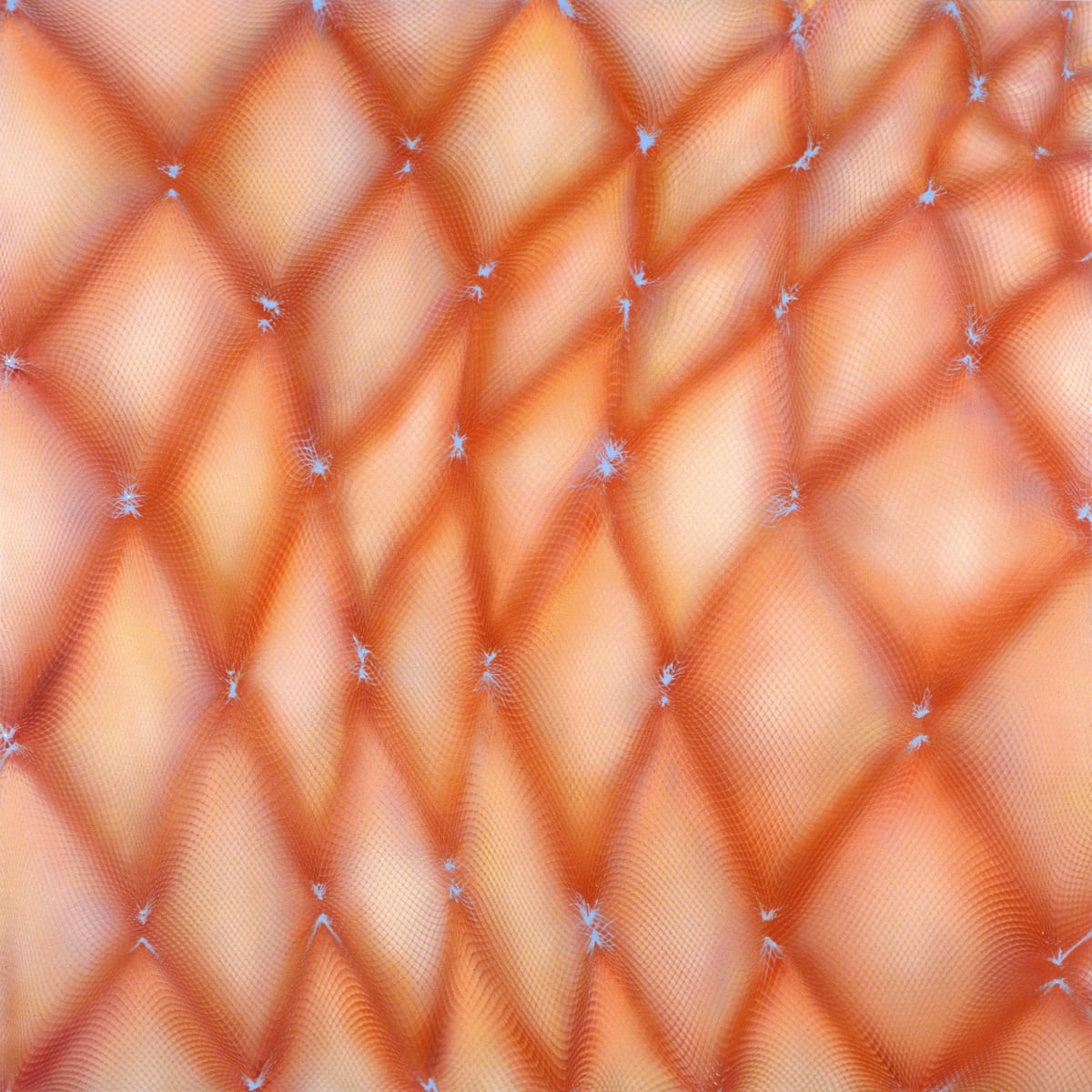 Body Bulge by Michelle Hinebrook 