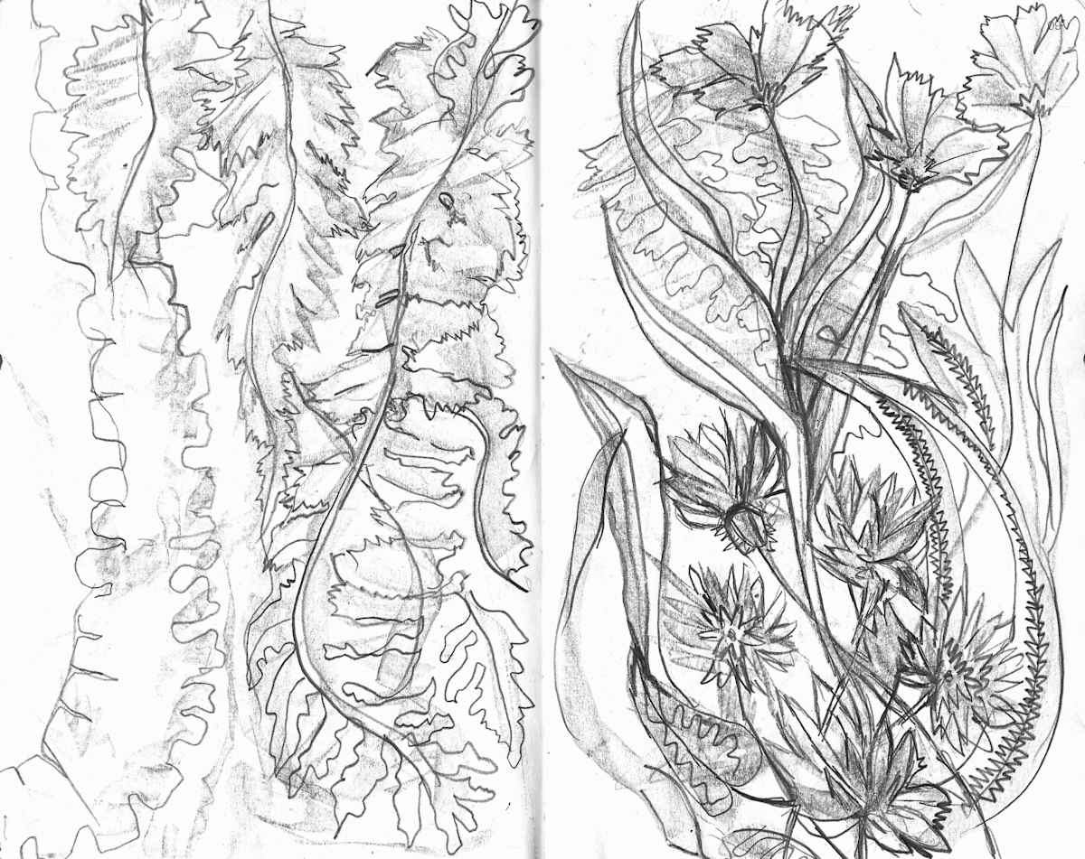 Sketchbook Botanty by Michelle Hinebrook, Image 6.