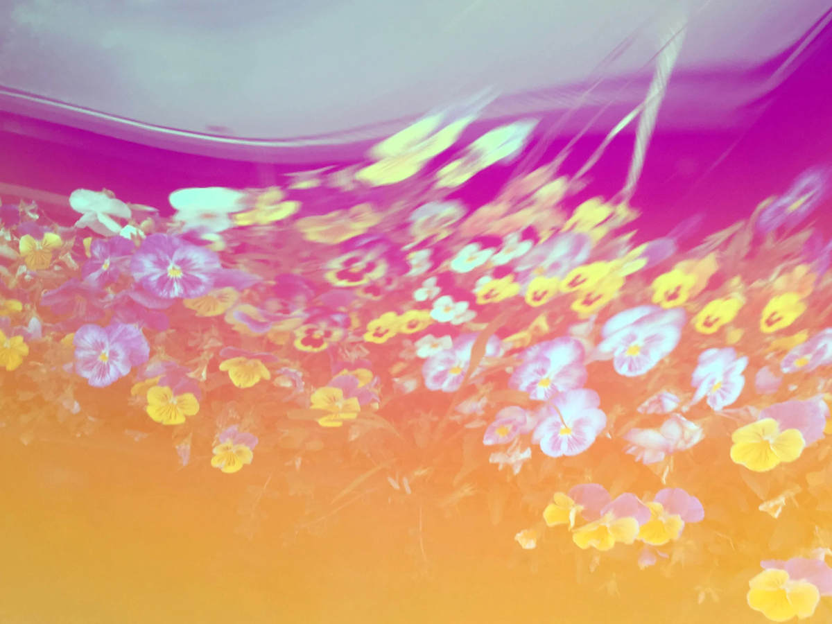 5 by Michelle Hinebrook  Image: Edition of 20 signed, custom sizes are available 