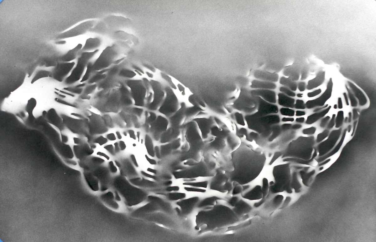 SmokeForm by Michelle Hinebrook, Image 11.