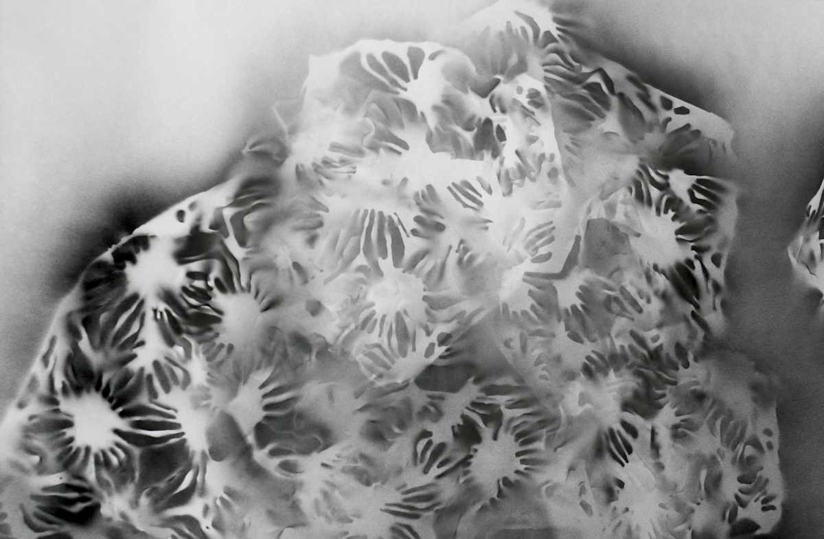 Smoke Shroud 1 by Michelle Hinebrook, Image 12.