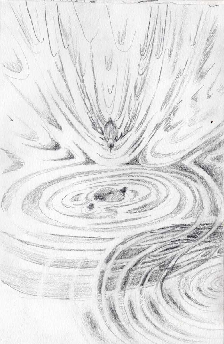 Michelle_Hinebrook_SB_DuckMovements by Michelle Hinebrook, Image 1.