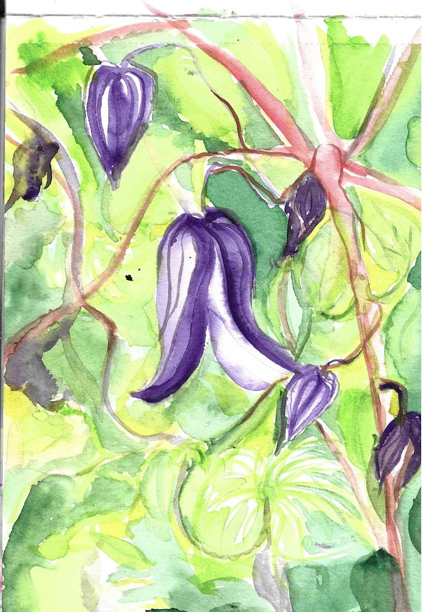 Michelle_Hinebrook_Bells by Michelle Hinebrook, Image 1.